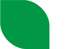 hariyali Leaf