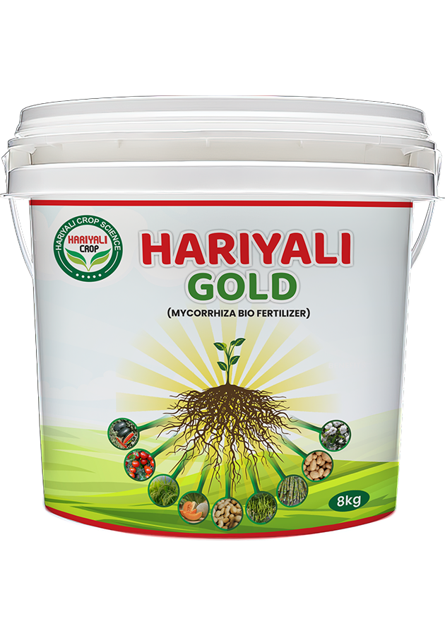 Balaji Gold98